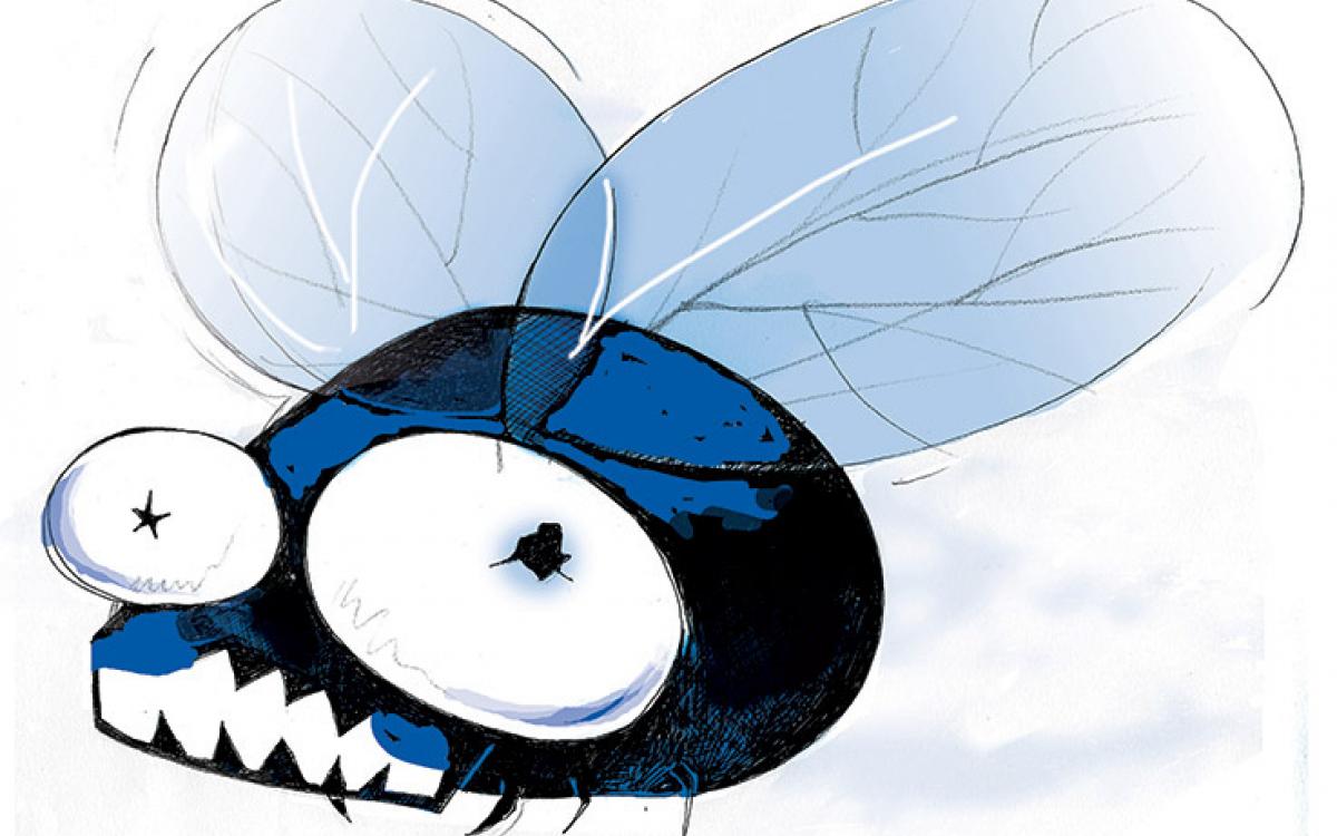 Illustration by Tonia Cowan