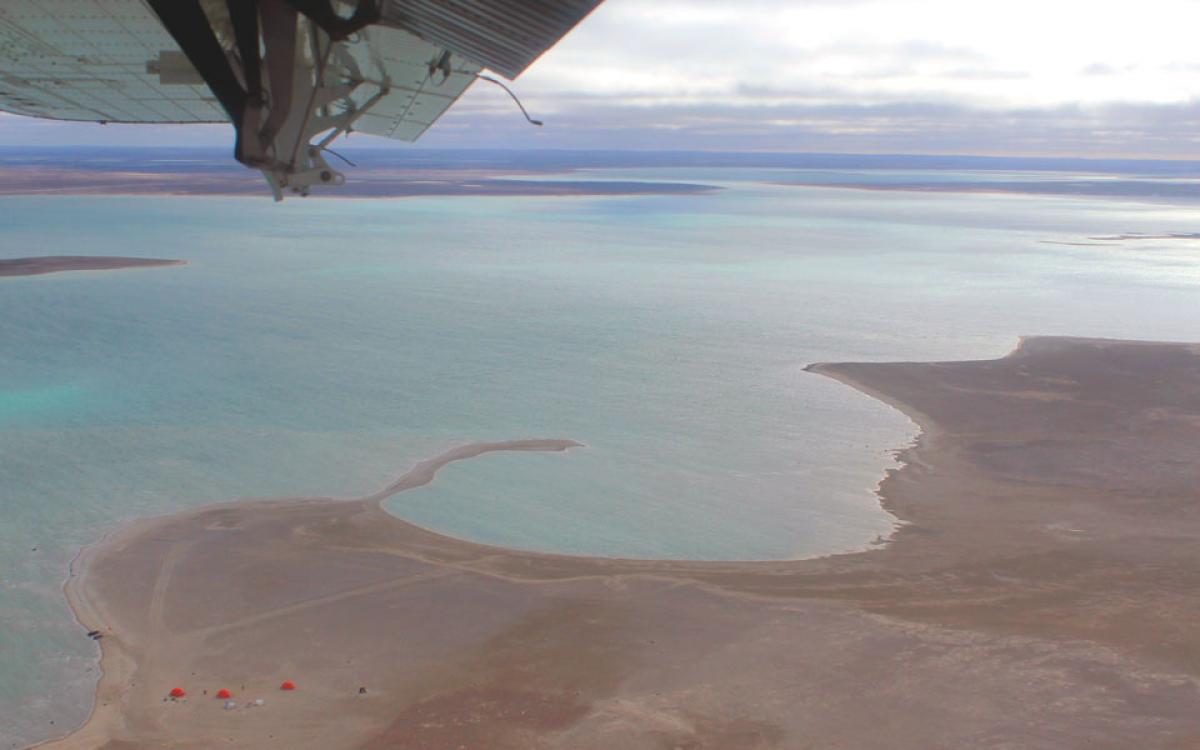 Photo by Elaine Anselmi