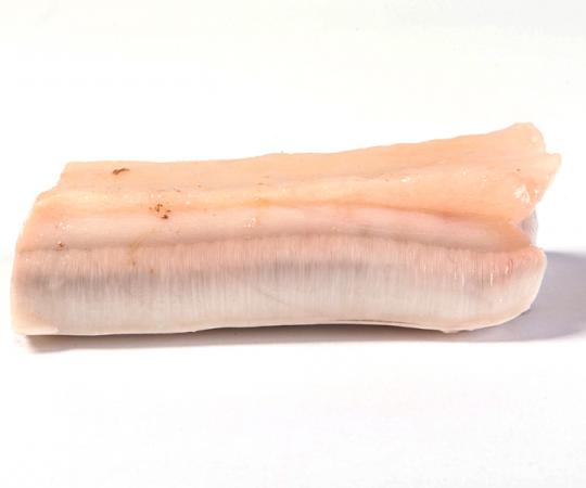 Beluga maktaaq contains vitamins that fight infection and keep your heart healthy. Photo by Hannah Eden/Up Here