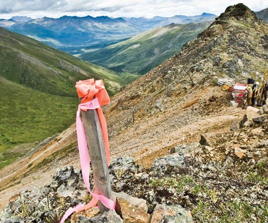 PHOTO BY CATHIE ARCHBOULD