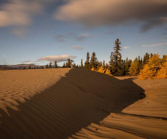 Carcross Desert