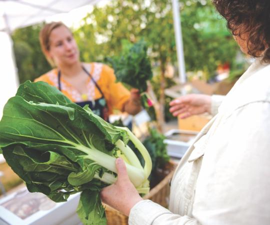 Yellowknife hosts a farmers' market every summer with fresh vegetables on hand.