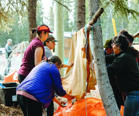 Group working on moosehide.