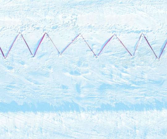 Stitching My Landscape by Maureen Gruben