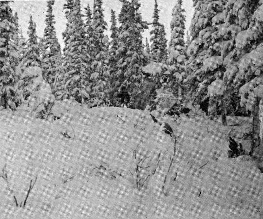 The site of the plane crash