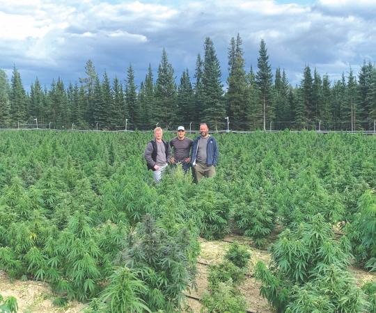 Sean Stofer, Chris Cornboro and Michael Austin—COO, CEO and chief marketing officer