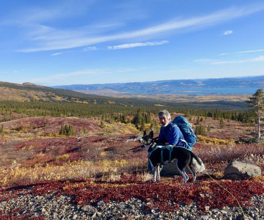 Looking for grouse in the fall