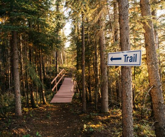 Hiking trail in Tulita