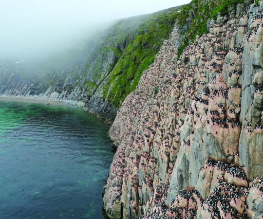 Photo's courtesy of Douglas Noblet