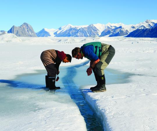 Photo by Dustin Patar