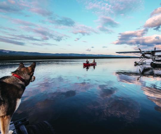 Photo by Angela Gzowski