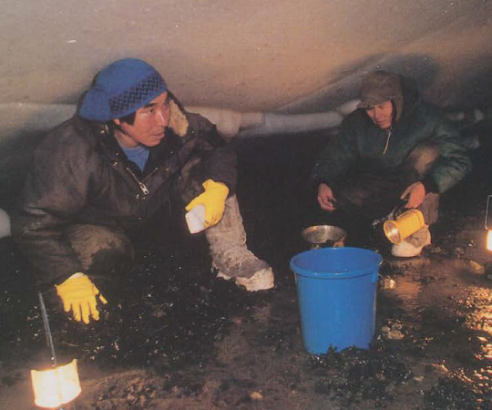 Photography by Patrice Halley