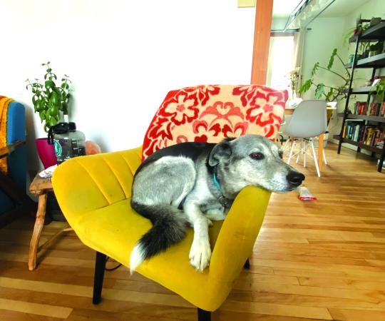 Photo courtesy Amy Kenny