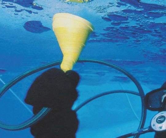 Photo by Paul Nickle