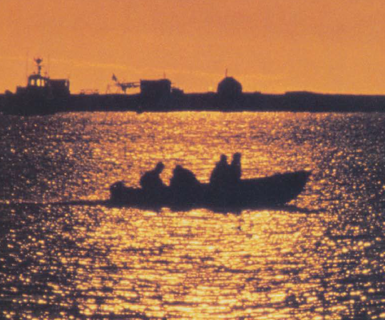 Photo by Michael Sharpe