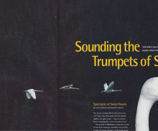 Photo by Wayne Lynch