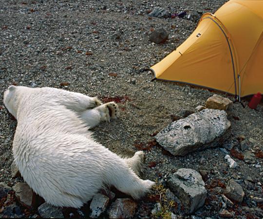 Photo courtesy Stephen Smith