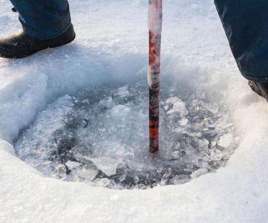 Photo by Hannah Eden/Up Here