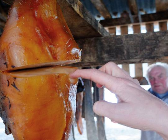 Kæstur hákarl, fermented Greenland shark. Photo by Tina Lee