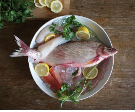 Whole whitefish, burbot fillets and trout. Photo by Amy Lam