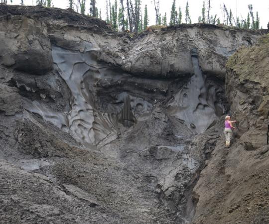 Paleontologist Elizabeth Hall stands on an exposure of permafrost at a placer mine, where Ice Age mammal bones are typically found. Photo courtesy of Government of Yukon
