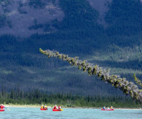 Photo courtesy Mike Peake/Canoe North Adventures