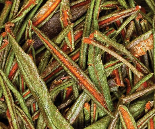 Labrador tea, steeped, is high in vitamin C and a good relaxant.  