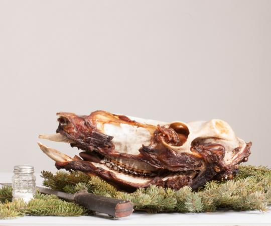 Photo by Hannah Eden/Up Here