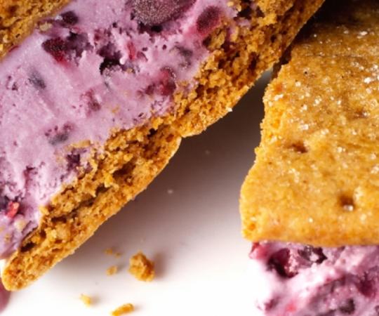 BREAKFAST OF DOG SLEDDING CHAMPIONS. PHOTO BY RALPH DAILY, VIA CREATIVE COMMONS