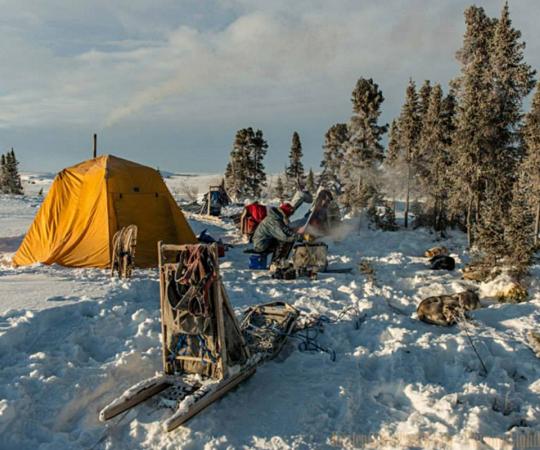 Camp at the Barrenlands. Photo by Kristen Gilbertson Olesen
