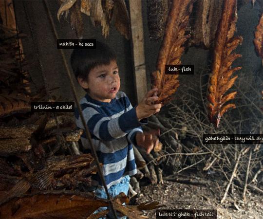 Language learning and teaching has long been a priority of the Gwich’in Social and Cultural Institute. These Gwich’in terms are from their dictionary, prepared in 2003. Photo by Peter Mather