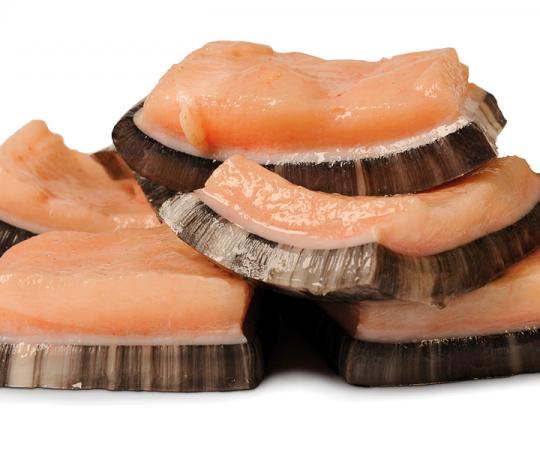 Narwhal maktaaq has protein, fat, vitamins A, D, E and C, selenium, zinc and omega-3 fatty acids. Photo by Hannah Eden/Up Here