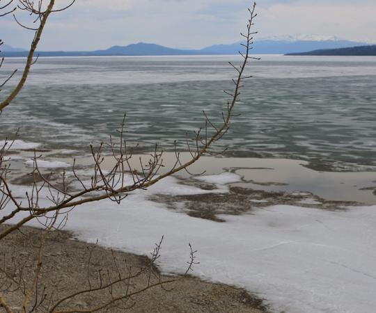 Marsh Lake, Yukon. Photo by TravellingOtter - Flickr (CC BY-SA 2.0)