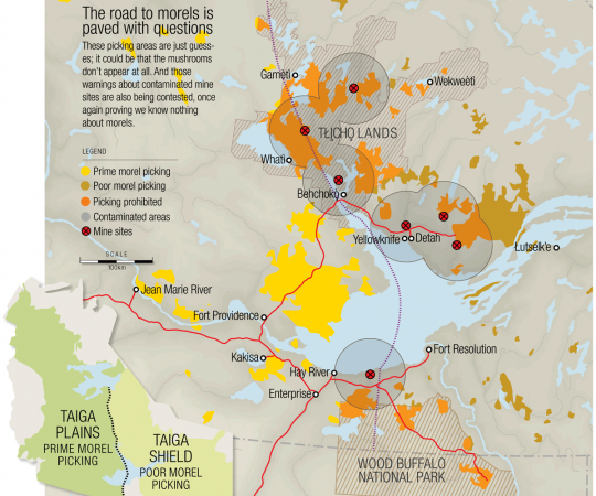 THE BEST SPOTS IN THE NWT