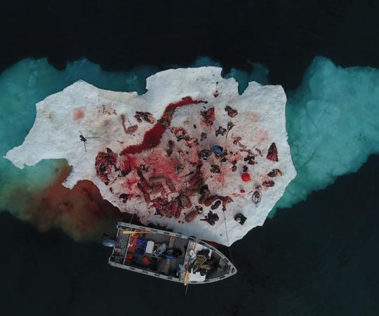 Photo by Robert Kautuk