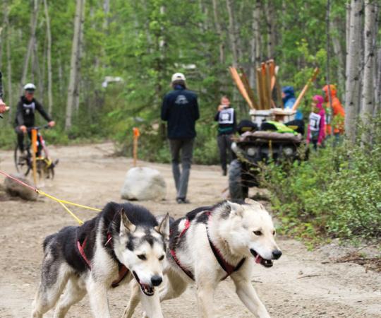 The writer travels 30 years back in time. James Stobbs