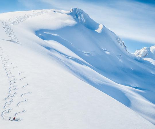 Photo by Kat Siepmann