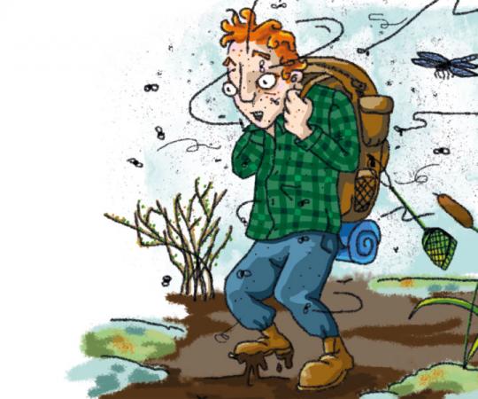 Illustration by Beth Covvey