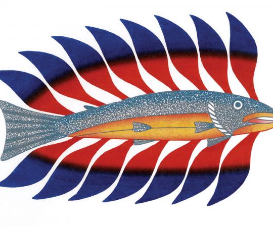 Luminous Char by Kenojuak Ashevak. Image courtesy Art Gallery of Ontario