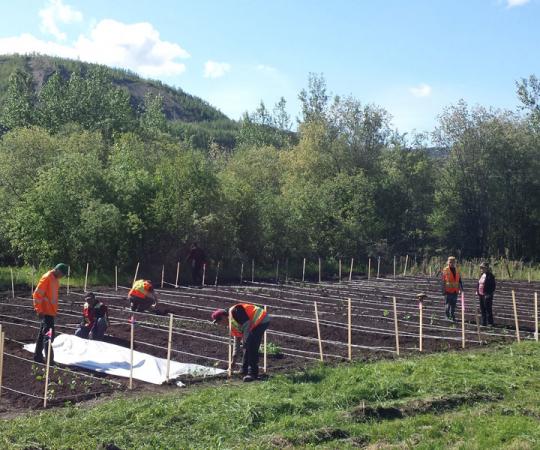 Photo courtesy of Dexter MacRae