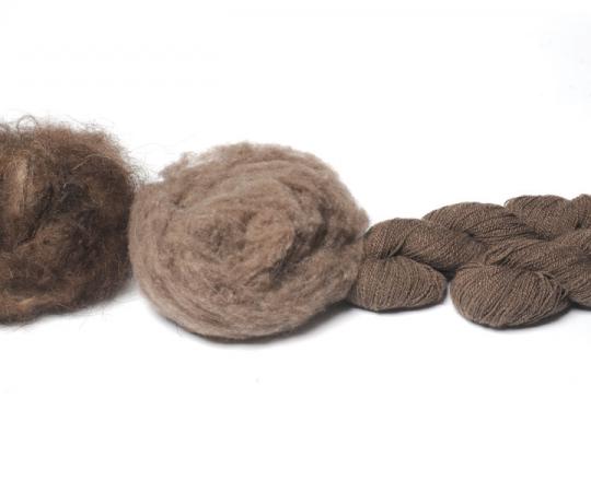 Photo by John Pekelsky