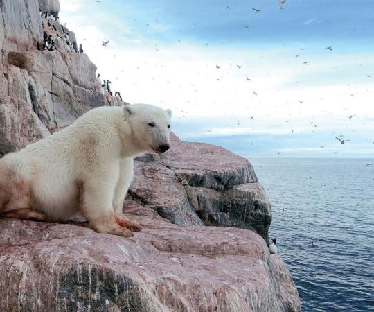 Story and photos by Émile Brisson-Curadeau