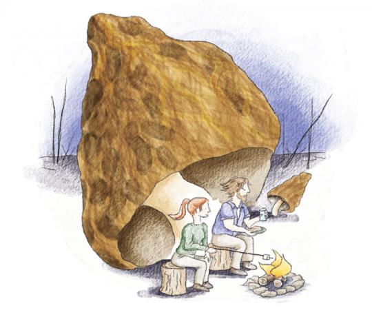 Illustration by Beth Covvey