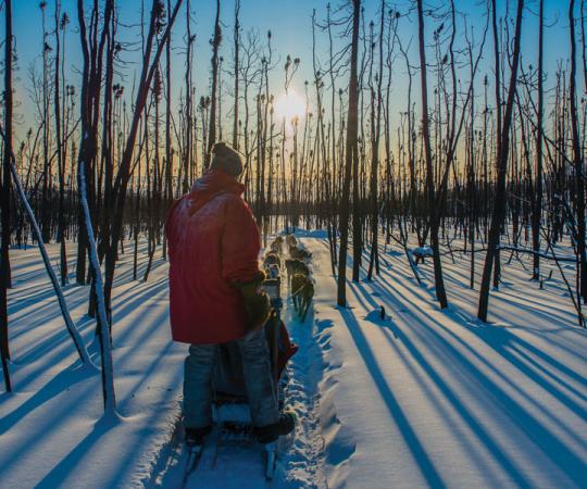 Photo by Kristen Olesen