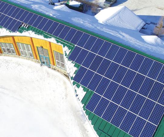 Photo courtesy Shane Andre