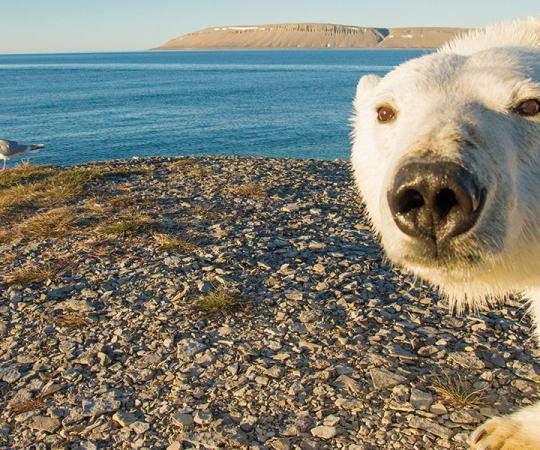 Photo by Nansen Weber