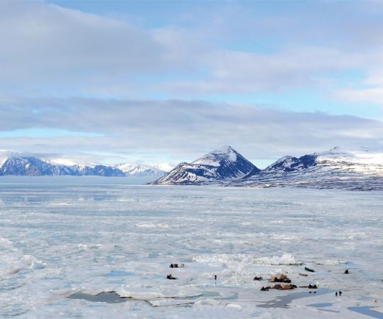 Long haul: It's 7 p.m. at the icy shore of Pond Inlet, Nunavut. Photo by Elaine Anselmi