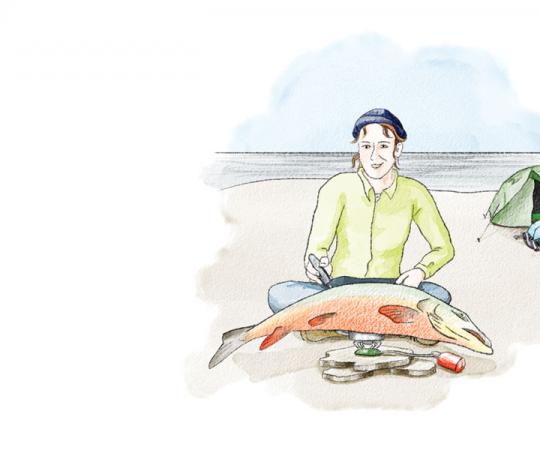 Illustration by Beth Covvey