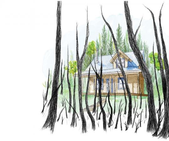 Illustration by Beth Covvey