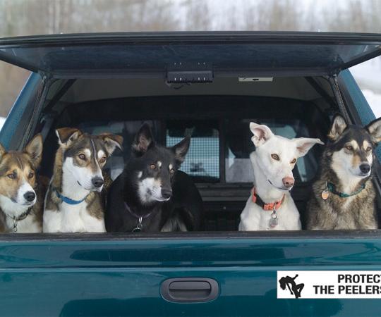 Photo by Pat Kane/Up Here